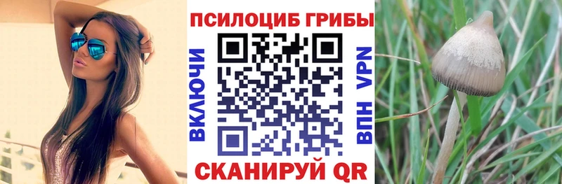 Галлюциногенные грибы прущие грибы  блэк спрут ССЫЛКА  Болохово 